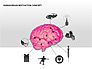 Human Brain Motivation Diagrams slide 9