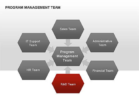Program Management Team Charts for Presentations in PowerPoint and ...