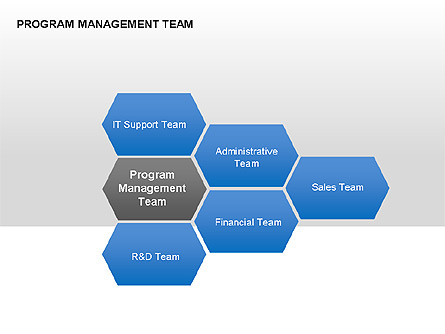 Program Management Team Charts for Presentations in PowerPoint and ...