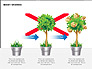 Money Growing Diagrams slide 2