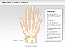 Right Hand Diagram slide 10