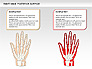 Right Hand Diagram slide 25
