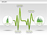 Ecology Charts slide 7