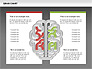 Brain Chart slide 14