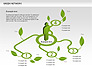 Green Network slide 8