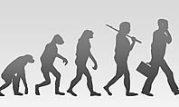 Evolution Diagram