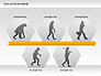 Evolution Diagram slide 7