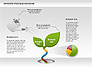 Sprouts Process Diagram slide 2