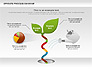 Sprouts Process Diagram slide 5