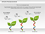 Sprouts Process Diagram slide 7