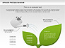 Sprouts Process Diagram slide 9