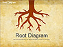 Root Diagram slide 1