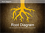 Root Diagram slide 12