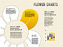 Flower Chart slide 11