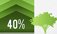 Eco Friendly Infographics