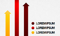 Profit Charts