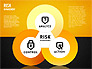 Risk Management Wheel Diagram slide 16