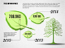 Green Tree Infographics slide 2
