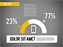 Analytic Infographics Presentation slide 16