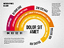 Options Radial Diagram slide 8