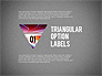 Set Of Triangular Option Labels slide 8