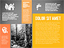 Ecological Presentation in Flat Design slide 10