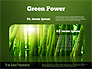 Think Green Presentation Template slide 13