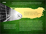 Four Steps Ecology Presentation slide 15