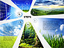 Four Steps Ecology Presentation slide 8