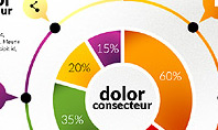 Presentation in Inforgraphics Style