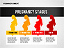 Pregnancy Presentation Concept slide 1