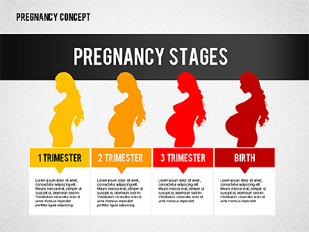Pregnancy Presentation Concept Presentation Template, Master Slide