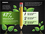 Options with Pencil and Green Leaves slide 11