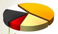 Presentation with Pie Chart and Table (data driven)