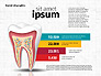 Dental Infographics slide 1