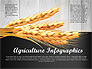 Agriculture Infographics Template slide 1