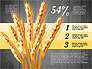 Agriculture Infographics Template slide 10