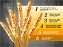 Agriculture Infographics Template slide 12