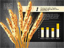 Agriculture Infographics Template slide 13