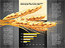 Agriculture Infographics Template slide 16