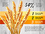 Agriculture Infographics Template slide 2
