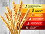 Agriculture Infographics Template slide 4