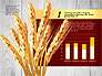 Agriculture Infographics Template slide 5