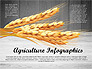 Agriculture Infographics Template slide 9