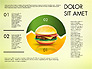 Hamburger Infographics slide 8