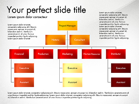 Organization Diagram Presentation Template, Master Slide