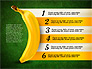 Banana Infographics slide 12