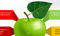Green Apple Infographics