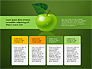 Green Apple Infographics slide 12
