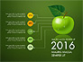 Green Apple Infographics slide 14